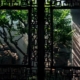 Verziertes Fenster in Suzhou Garten